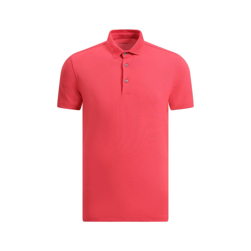 WINTERBERRY / T0356 / XS/46